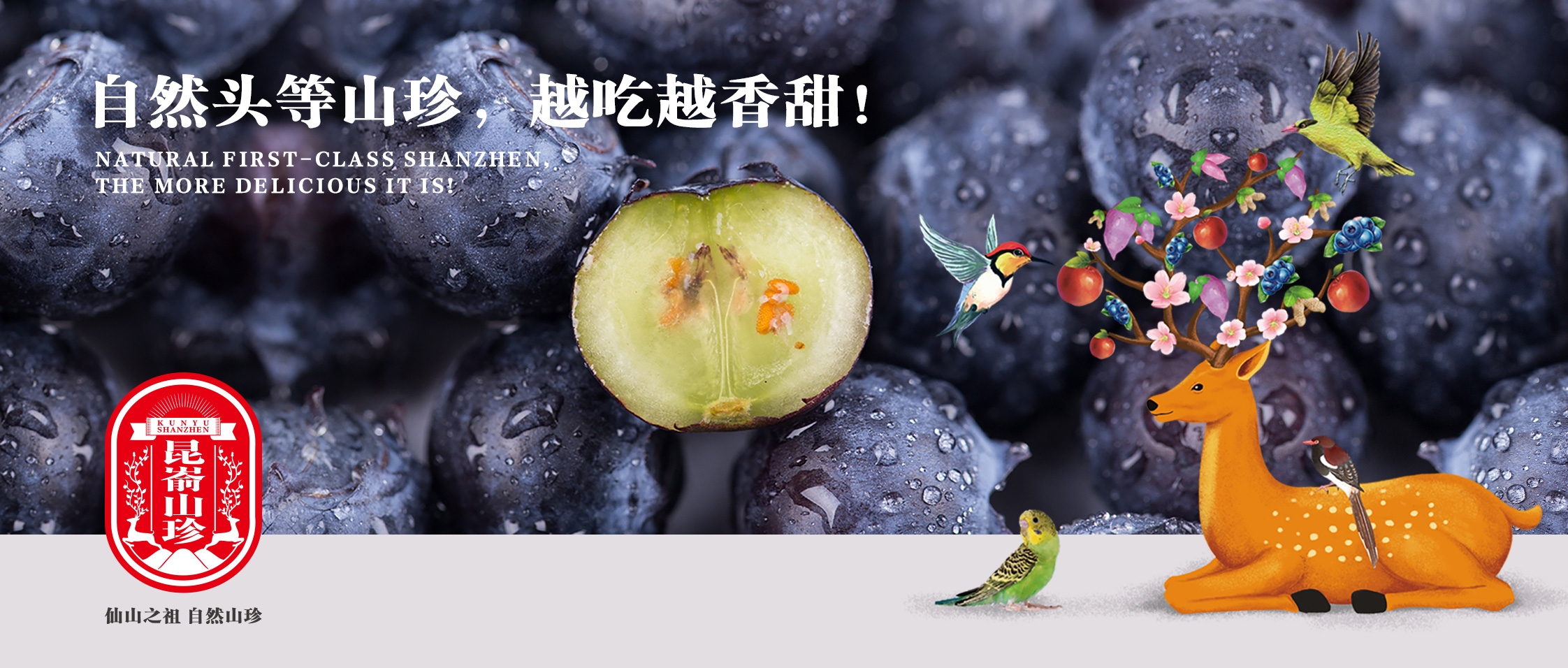 昆崳山珍區(qū)域公用品牌策劃